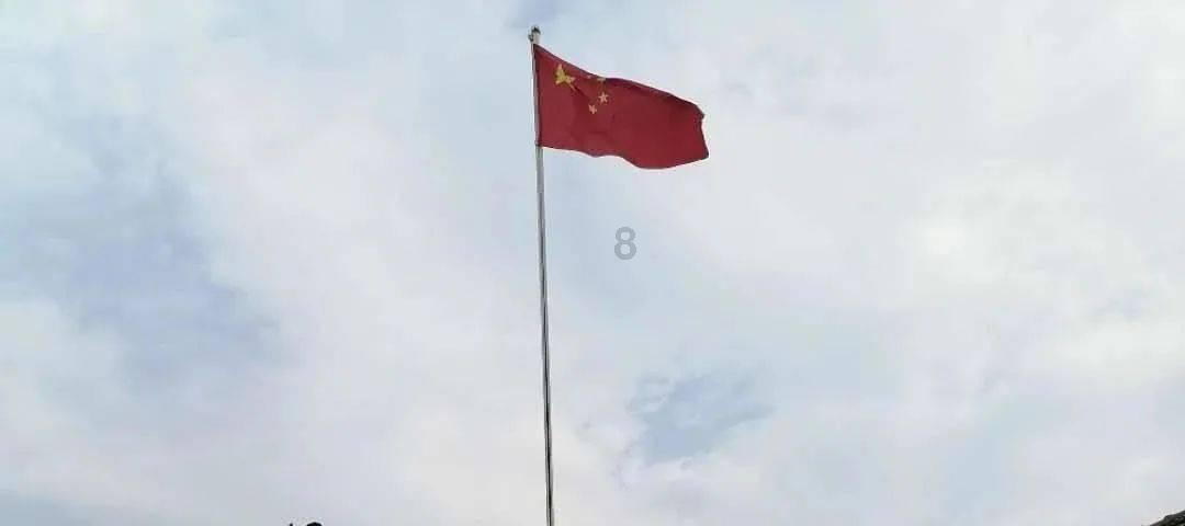 僵尸跳跳跳